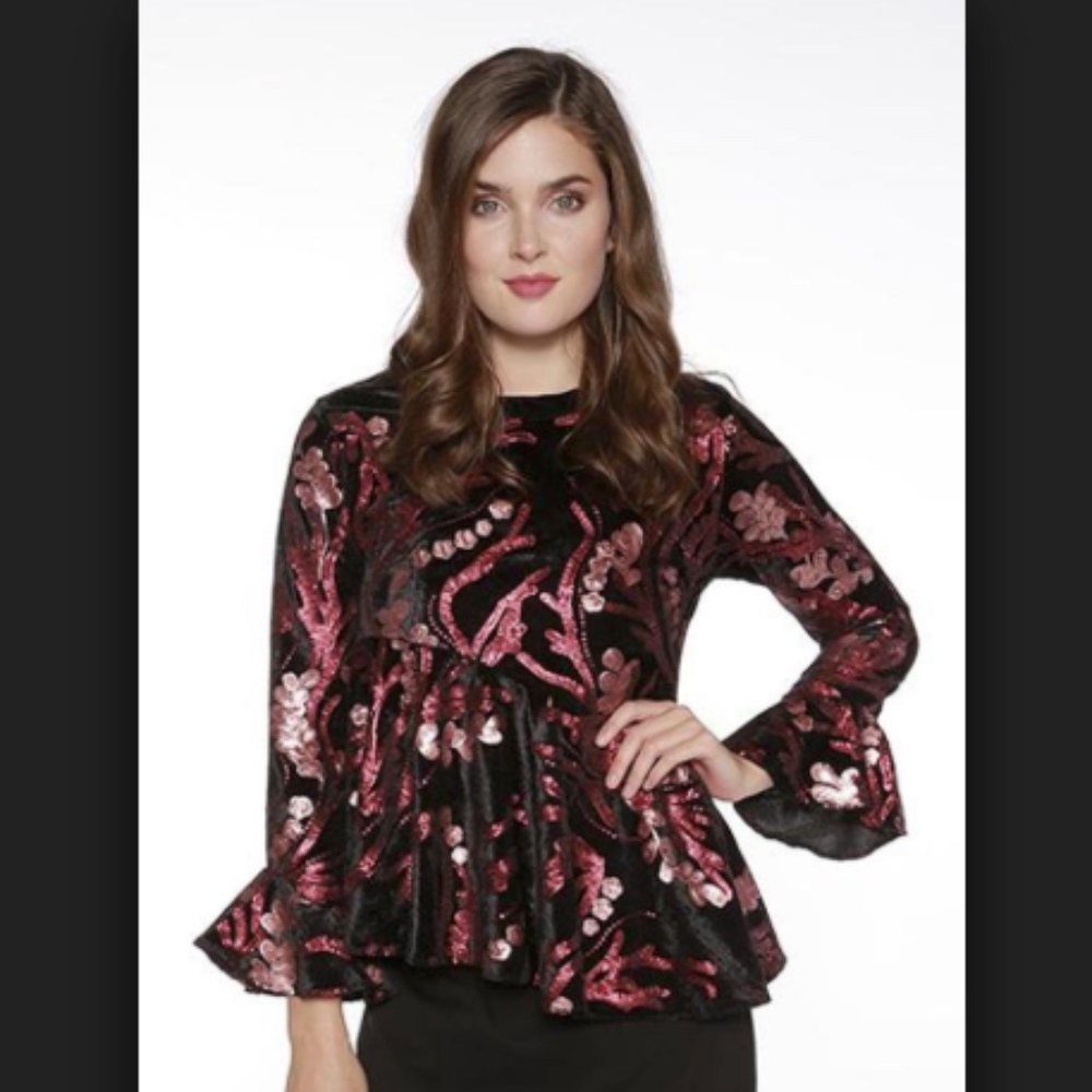Eva Franco Anthropologie Velvet Sequin Ruffled Top